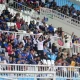 Ilustrasi Aremania. Firman/dok MPM